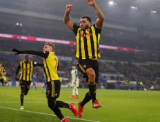 IM体育动画直播通道-沃特福德客场不敌水晶宫，保级形势严峻的简单介绍